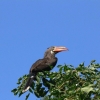 P1020075